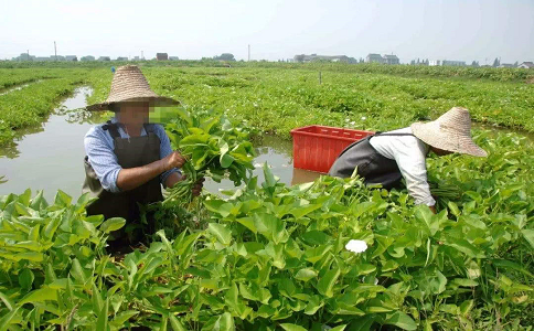 推薦3個(gè)小投資創(chuàng)業(yè)項(xiàng)目，做好月入3萬(wàn)不成問題! 第1張